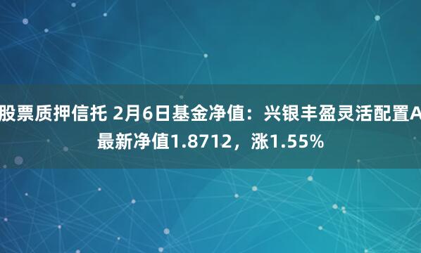 股票质押信托 2月6日基金净值：兴银丰盈灵活配置A最新净值1.8712，涨1.55%