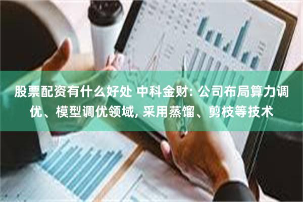 股票配资有什么好处 中科金财: 公司布局算力调优、模型调优领域, 采用蒸馏、剪枝等技术