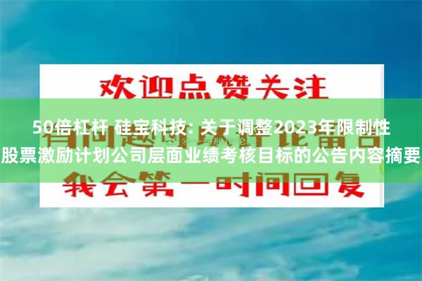 50倍杠杆 硅宝科技: 关于调整2023年限制性股票激励计划公司层面业绩考核目标的公告内容摘要