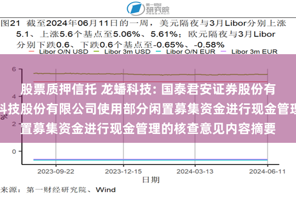 股票质押信托 龙蟠科技: 国泰君安证券股份有限公司关于江苏龙蟠科技股份有限公司使用部分闲置募集资金进行现金管理的核查意见内容摘要