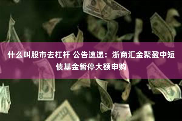 什么叫股市去杠杆 公告速递：浙商汇金聚盈中短债基金暂停大额申购