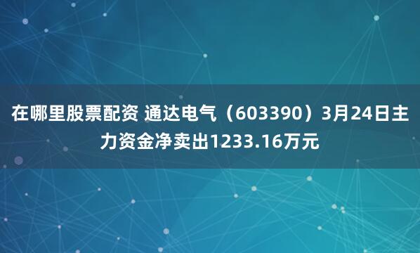 在哪里股票配资 通达电气（603390）3月24日主力资金净卖出1233.16万元