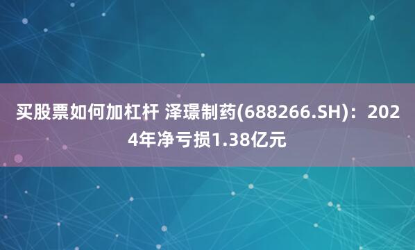 买股票如何加杠杆 泽璟制药(688266.SH)：2024年净亏损1.38亿元
