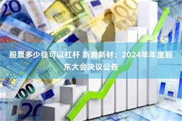 股票多少钱可以杠杆 新瀚新材：2024年年度股东大会决议公告
