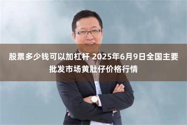 股票多少钱可以加杠杆 2025年6月9日全国主要批发市场黄肚仔价格行情